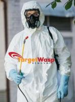 Target Wasp Removal Adelaide image 6